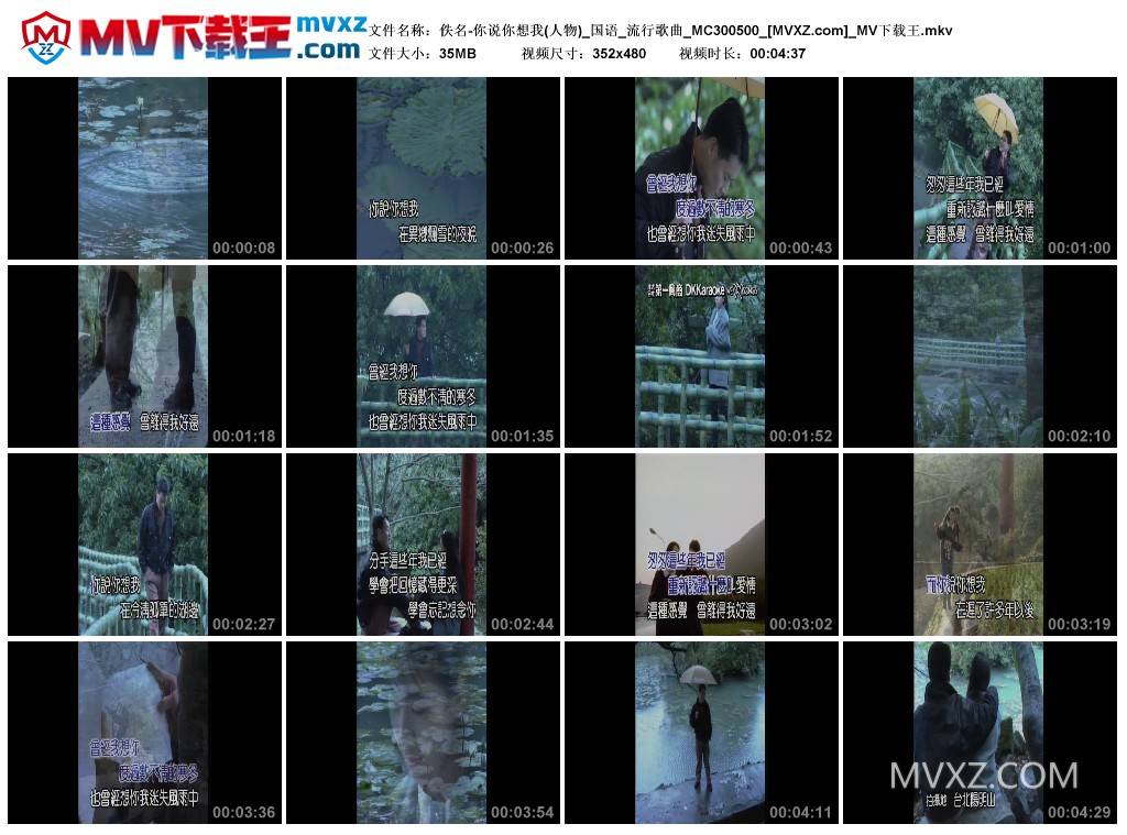 佚名-你说你想我(人物)_国语_流行歌曲_MC300500